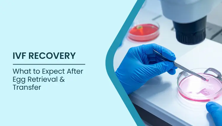 Blog post image for IVF Recovery: What to Expect After Egg Retrieval & Transfer